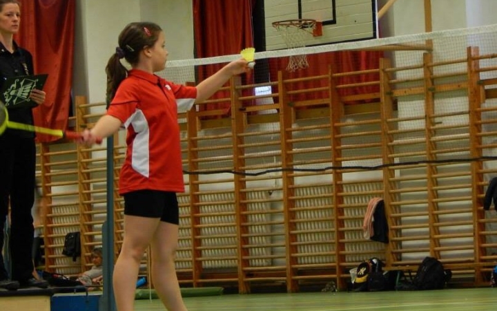 Tollaslabda: öt érem a fővárosból