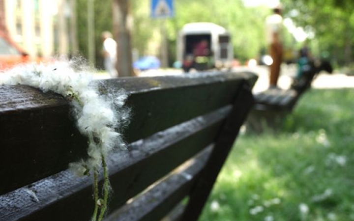 Kezdődik a pollenallergiások kálváriája?