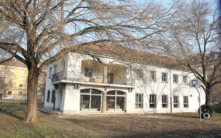 D+ Híradó - Farsang, felújítás