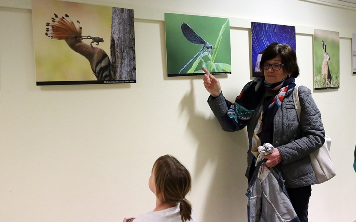 Jubiláltak a természetfotósok