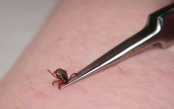 Mobilalkalmazással a megelőzésért