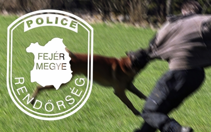 Rendőrkézen az előszállási betörők