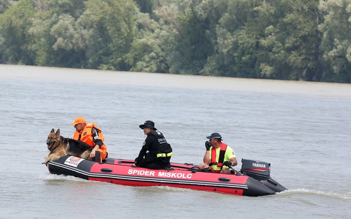 Hajóbaleset - Szagot fogtak a kutyák városunknál