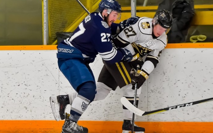 Kanadai hátvédet igazoltak a Bikák