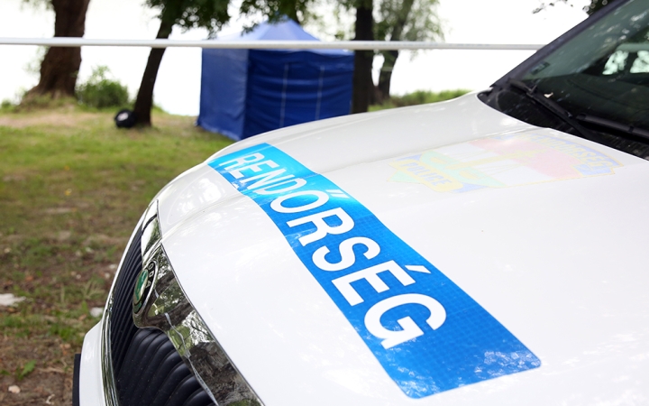 D+ Híradó - Közgyűlés, esküvő