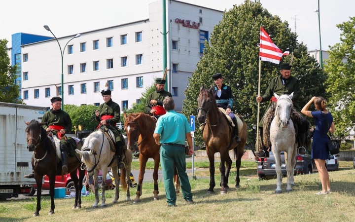 D+ Híradó - Uszoda, zarándoklat