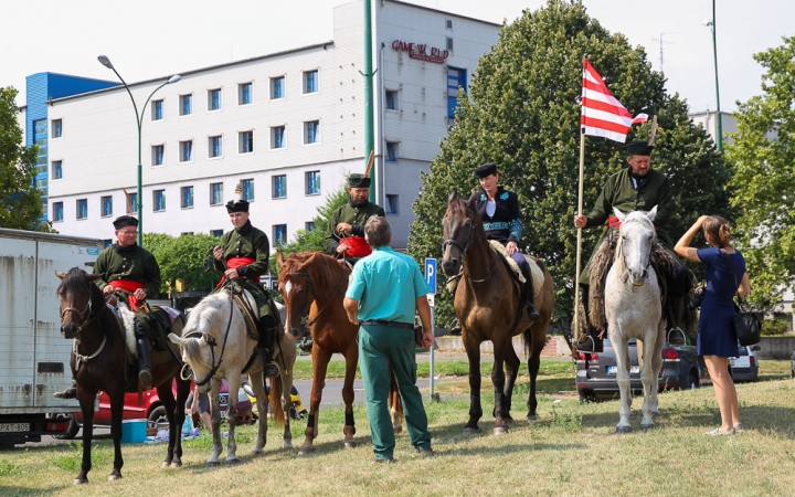 D+ Híradó - Uszoda, zarándoklat