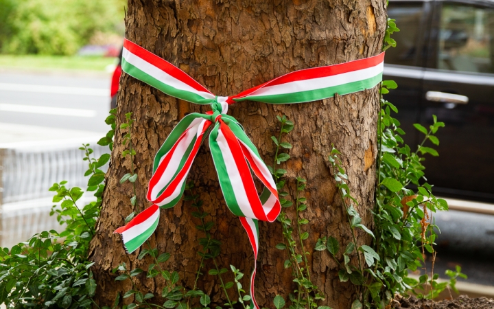 D+ Híradó - Érték, Mobilitási Hét