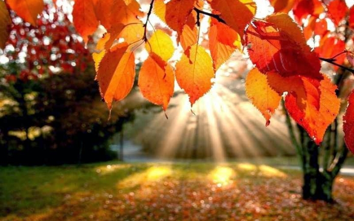 Marad a vénasszonyok nyara