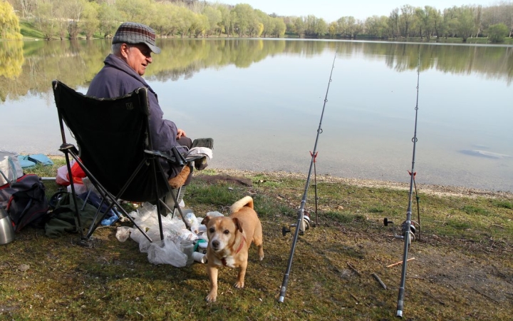Háromnyaras pontyokat telepítettek