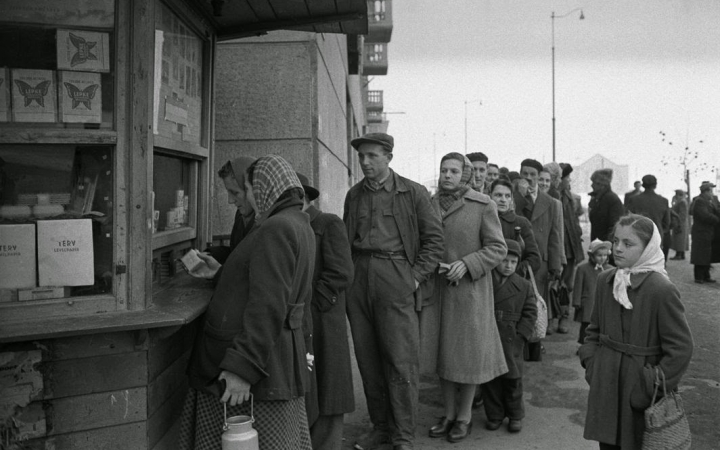 Oroszlán, jöttek érted!