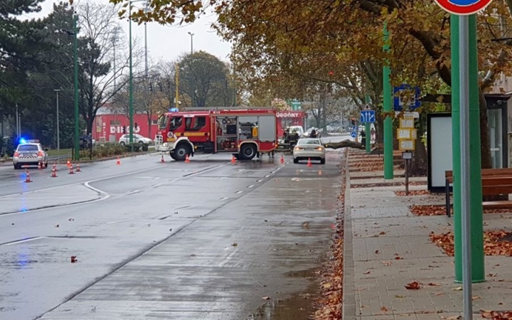 Vasmű úti platánok: újabb állományritkítás