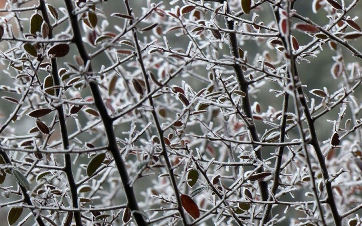 Időjárás: zord éjjelek, napos napok