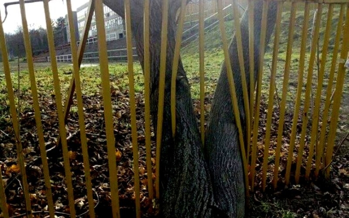 Közösségi környezetvédelem: faszabadítás! (FRISSÍTVE!)