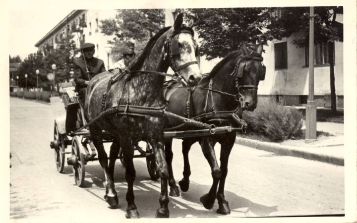 Mesél a múlt – a cél a közös várostörténeti kalandozás!