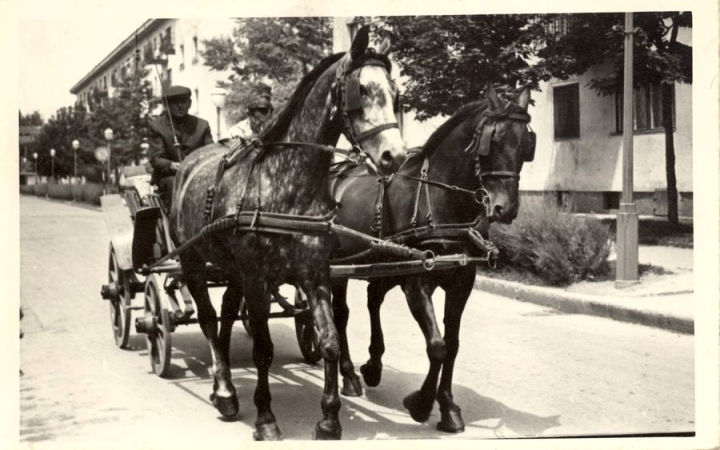 Mesél a múlt – a cél a közös várostörténeti kalandozás!