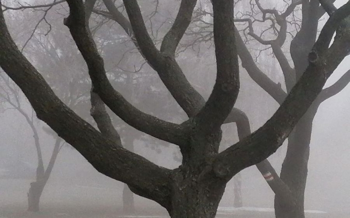 Időjárás: borult, párás, szeles napok jönnek