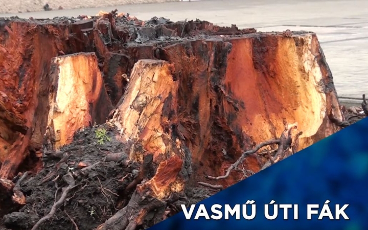 DS Híradó: szavazás, előadás, könyvtári programok