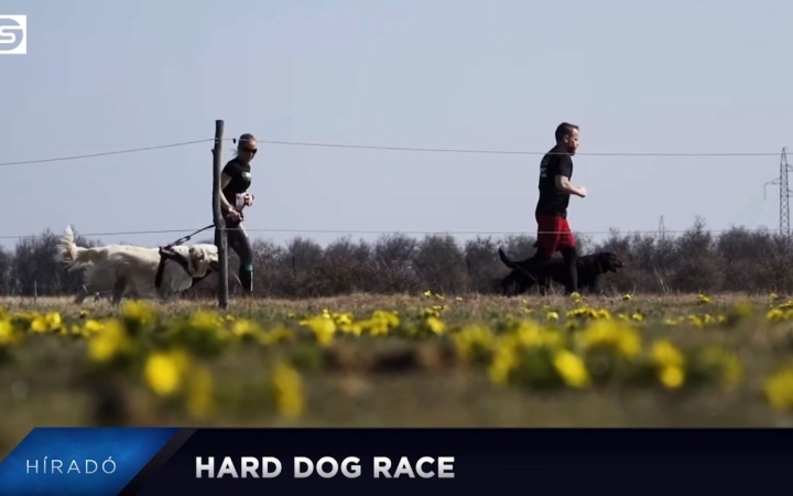 DS Híradó: Hard Dog Race Dunaújvárosban