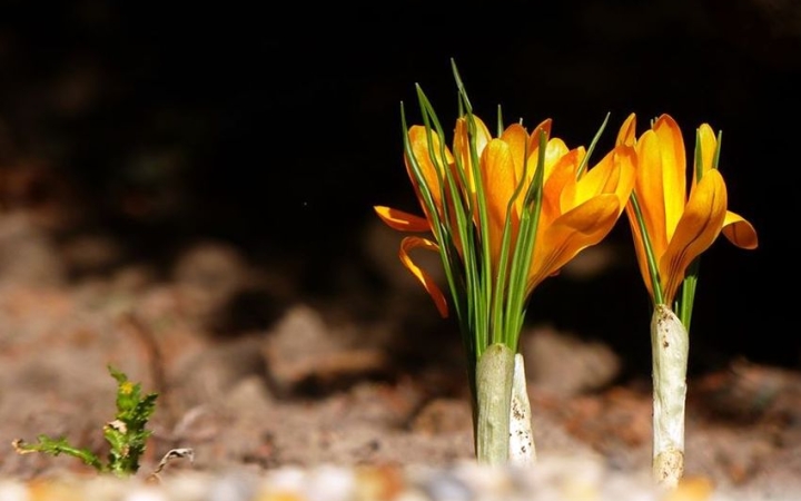 Időjárás: erős széllel búcsúzik a tél