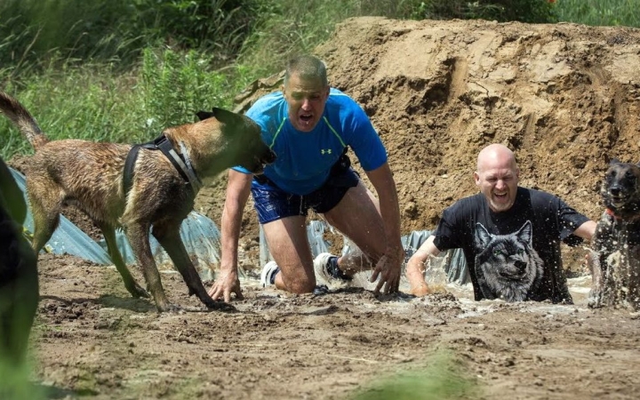 Hard Dog Race Dunaújvárosban is