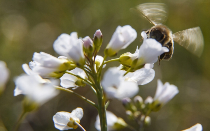 Felemás hétvégénk lesz: 25 fok és eső, széllel