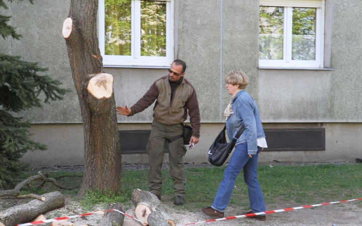 Parkosítás a Kassák utcánál