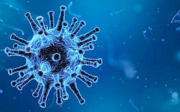 Koronavírus: újabb három fertőzött