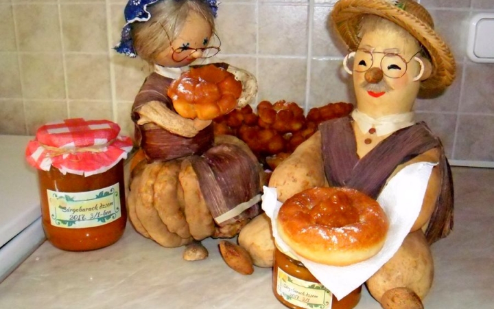 Csak előre: Terítéken Dunaújváros és környéke