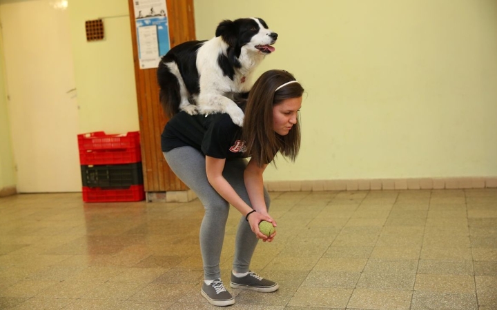 Teadélután a Rudasban