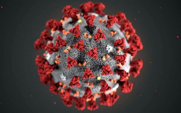 Csak előre: szállj be otthonról a koronavírus elleni harcba!