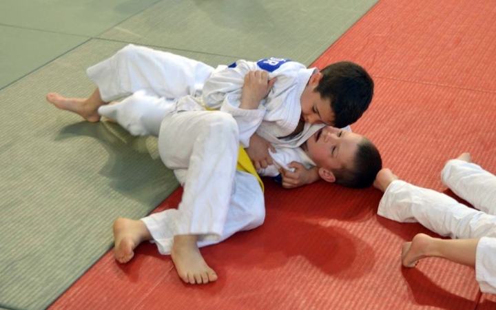 Judo: hazai éremeső