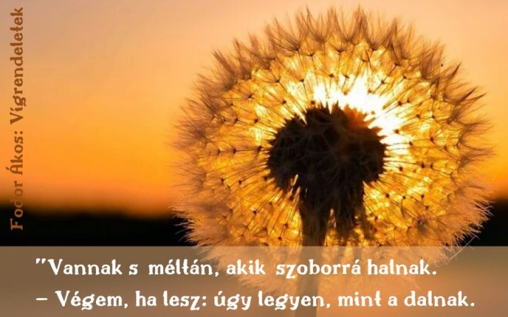 Versözön a könyvtárból – itt láthatja élőben!