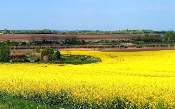 Időjárás: felhőkre várva, esőben bízva!