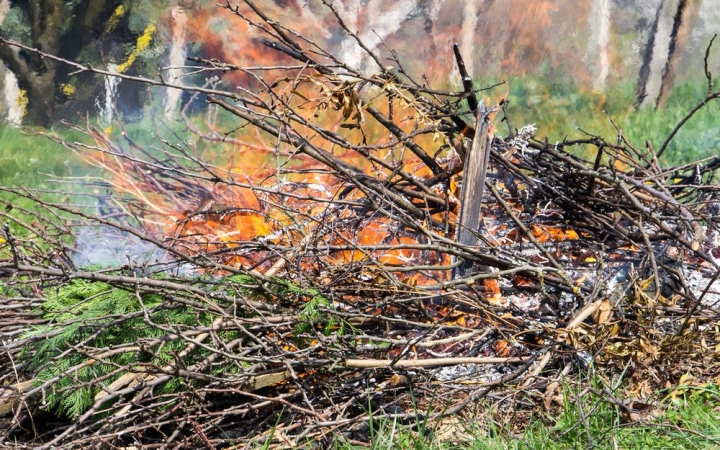  Égetés helyett komposzt vagy gyűjtőzsák – már péntektől!