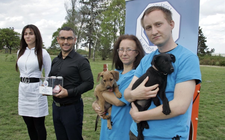 Autóra gyűjtenek az állatvédők!