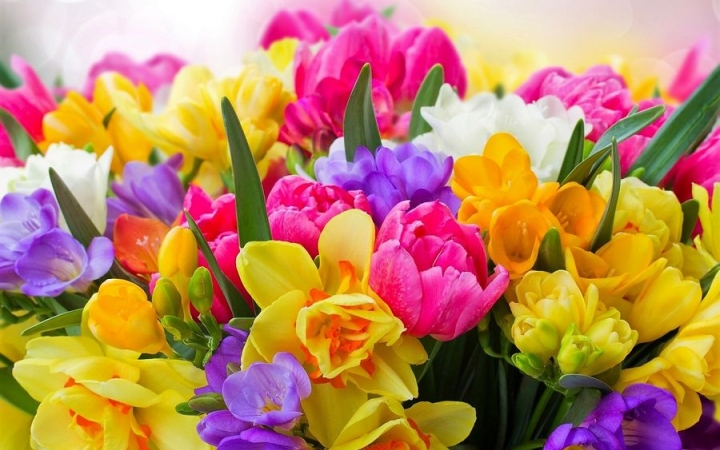 Boldog anyáknak boldog anyák napját!