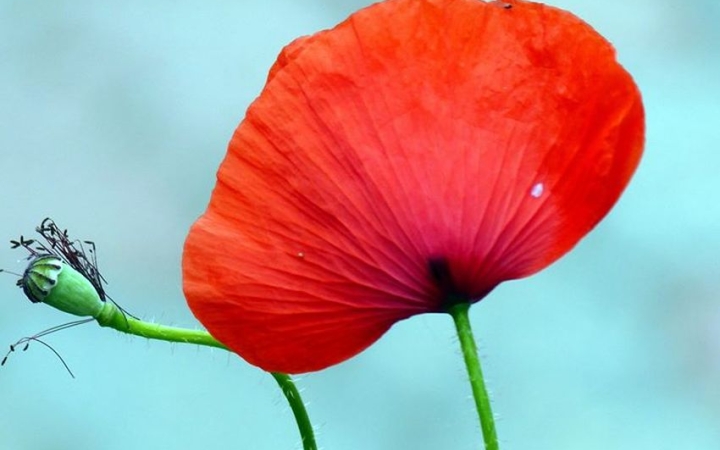 Időjárás: megérkezik végre a csapadékzóna!