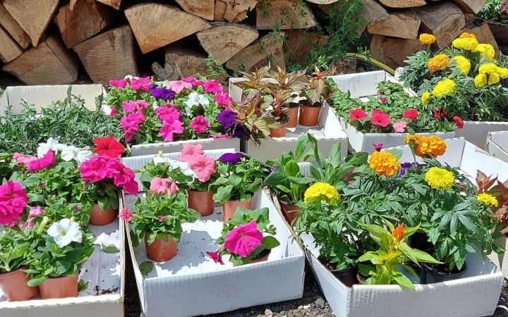 A virágos Dunaújvárosért – minden körzetben