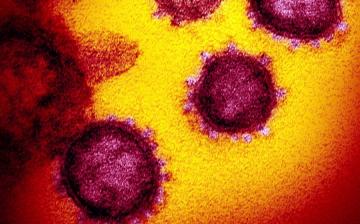 Járvány: 3713 fő fertőzött – Fejér megyében eggyel nőtt az esetszám