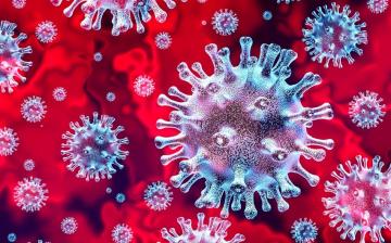 Koronavírus: 3756 fő fertőzött – Fejér megyében ismét eggyel nőtt az esetszám