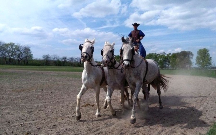 Ha pünkösd, hát királyság – Révbérpusztán!