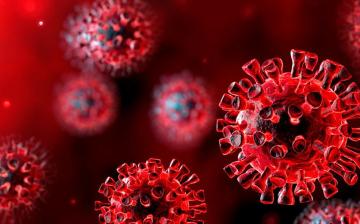 Vírus: 3876 fő fertőzött – Fejérben eggyel nőtt az esetszám