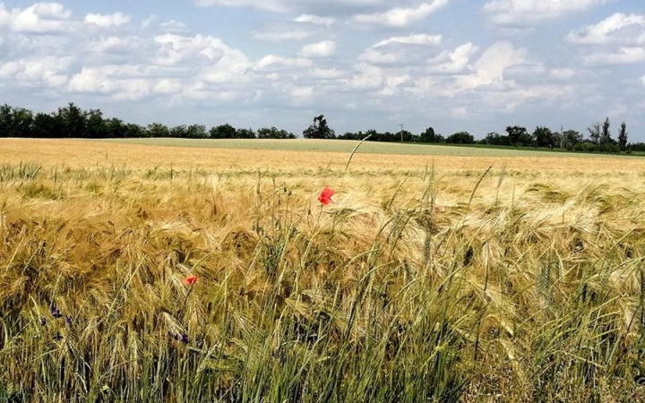 Időjárás: csapadékos nyitány, nyárias folytatás