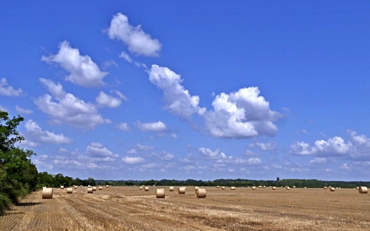Időjárás: mérsékelten meleg, kellemes nyár