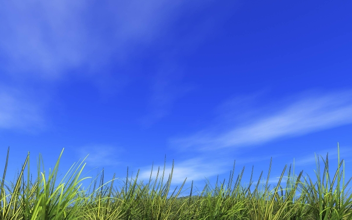 Napos idő várható