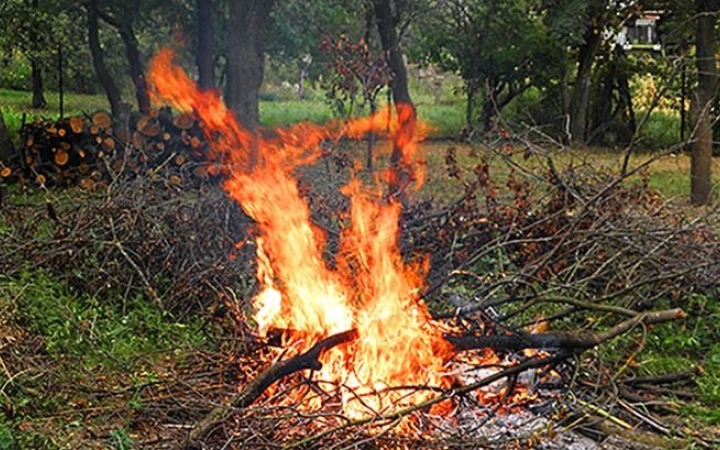Égett az aljnövényzet és egy melléképület Rácalmáson