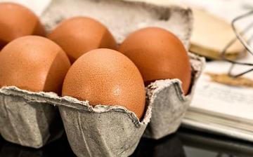 Szalmonellás tojás a Lidl üzleteiben – dunaújvárosi bázis is van a listán (FRISSÍTVE!)
