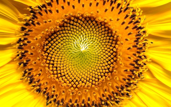 Időjárás: délelőtt még ősz, délután már nyár