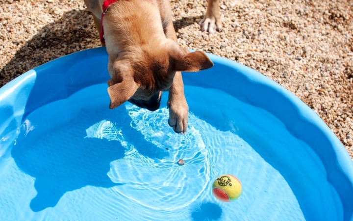 Időjárás: ma már végig derült idő, kirobbanó nyár vár ránk!